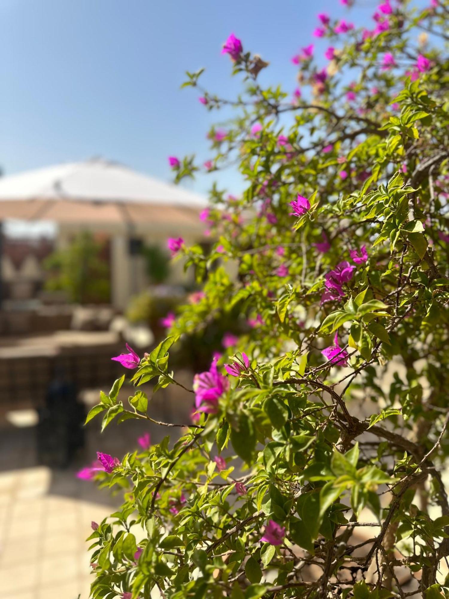 La Claire Fontaine Hotel Marrakesh Buitenkant foto